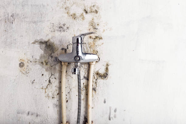 Best Residential Mold Removal  in Strawberry, CA