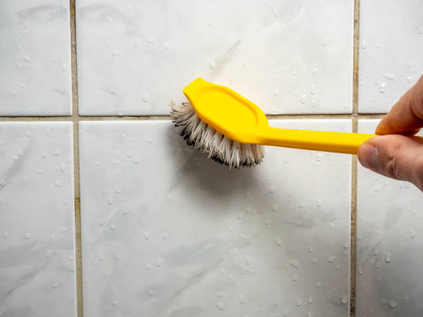 Best Mold Remediation  in Strawberry, CA