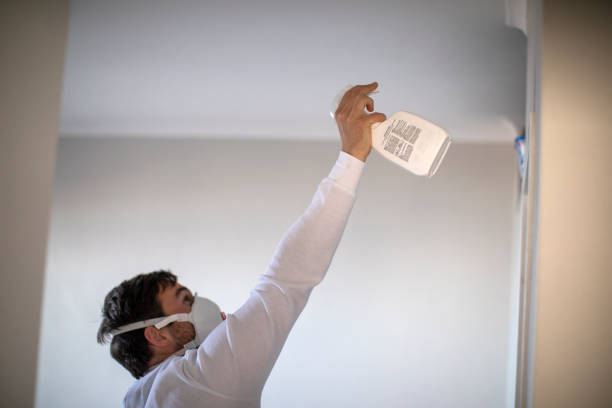 Best Toxic Mold Removal  in Strawberry, CA