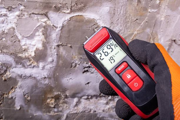 Best Mold Testing  in Strawberry, CA
