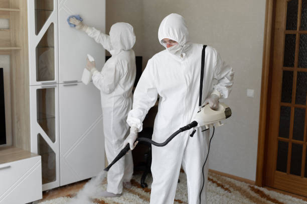 Best Crawl Space Mold Removal  in Strawberry, CA