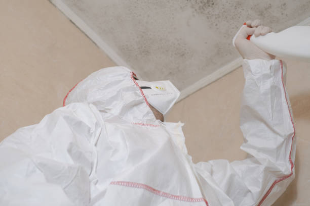 Best Local Mold Removal Service  in Strawberry, CA