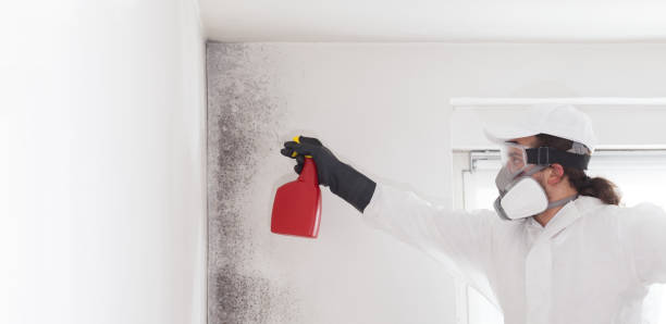 Best Attic Mold Removal  in Strawberry, CA