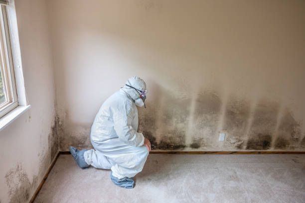 Best Emergency Mold Removal  in Strawberry, CA