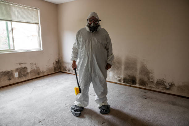 Strawberry, CA Mold Removal Company